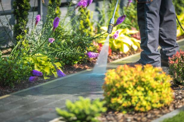 Best Restaurant Pressure Washing  in Bristol, FL